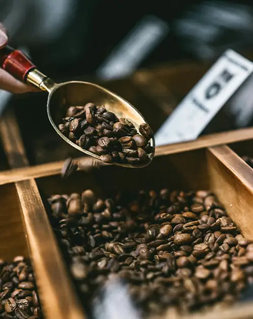 Coffee
