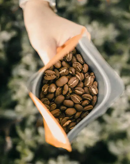 Coffee Subscription