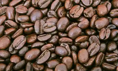 coffee beans