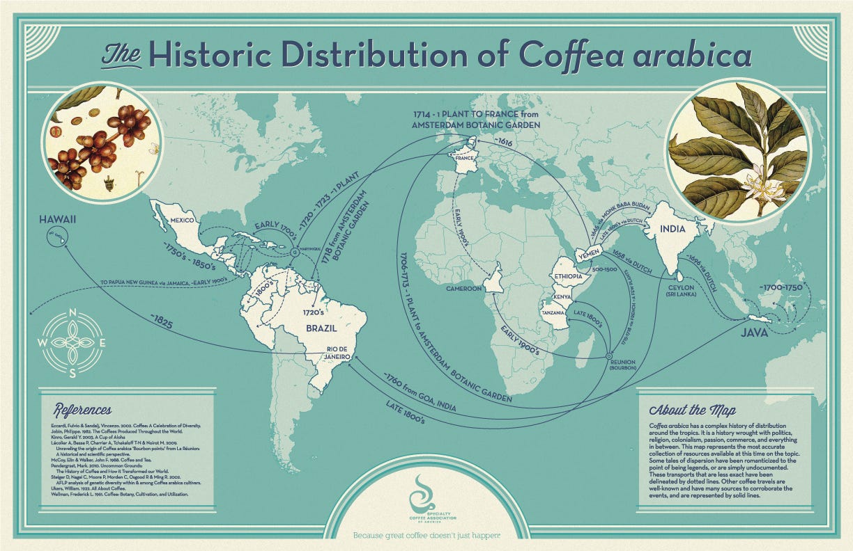 Historic distribution map showing the incredible journey of Coffea arabica