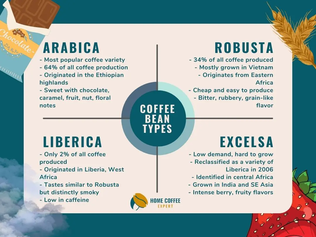 Clear comparison chart of the main coffee bean types