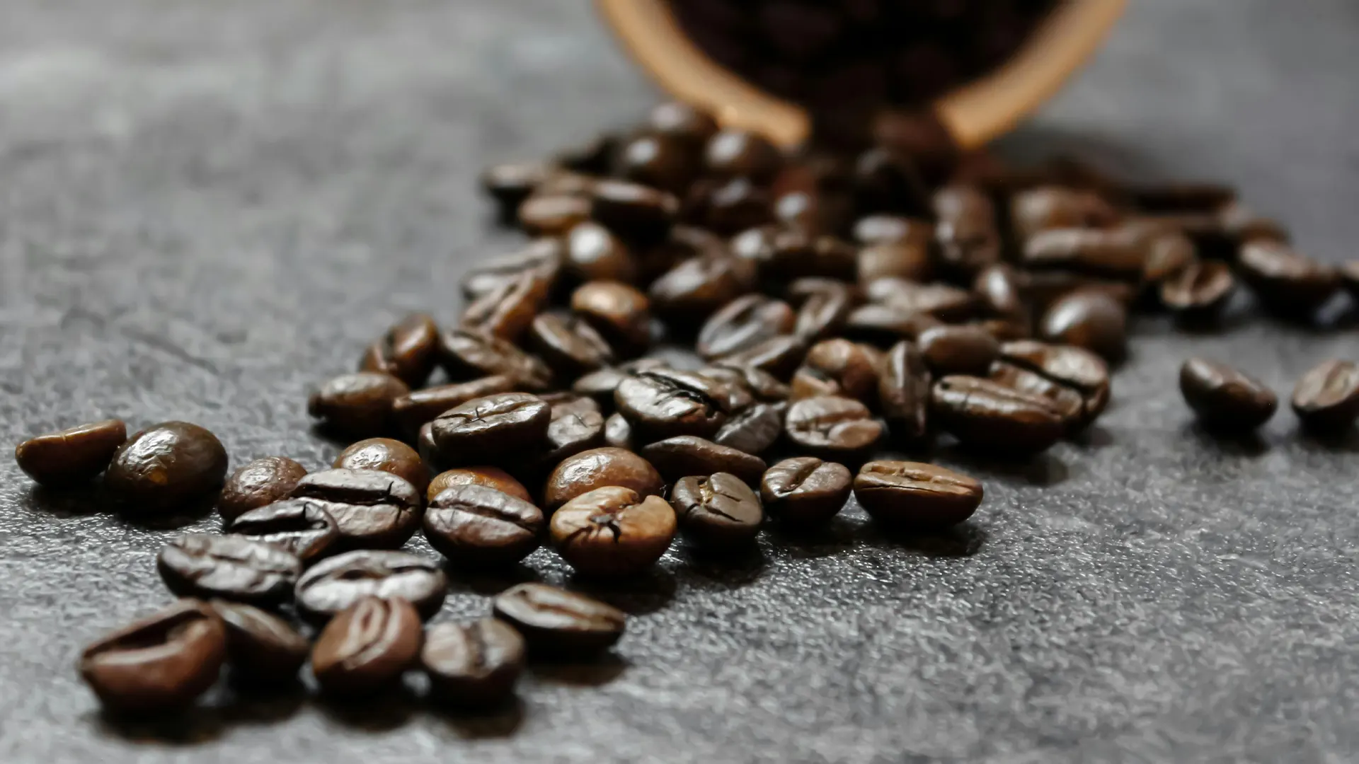 Kenya AA speciality coffee from creative drinkers