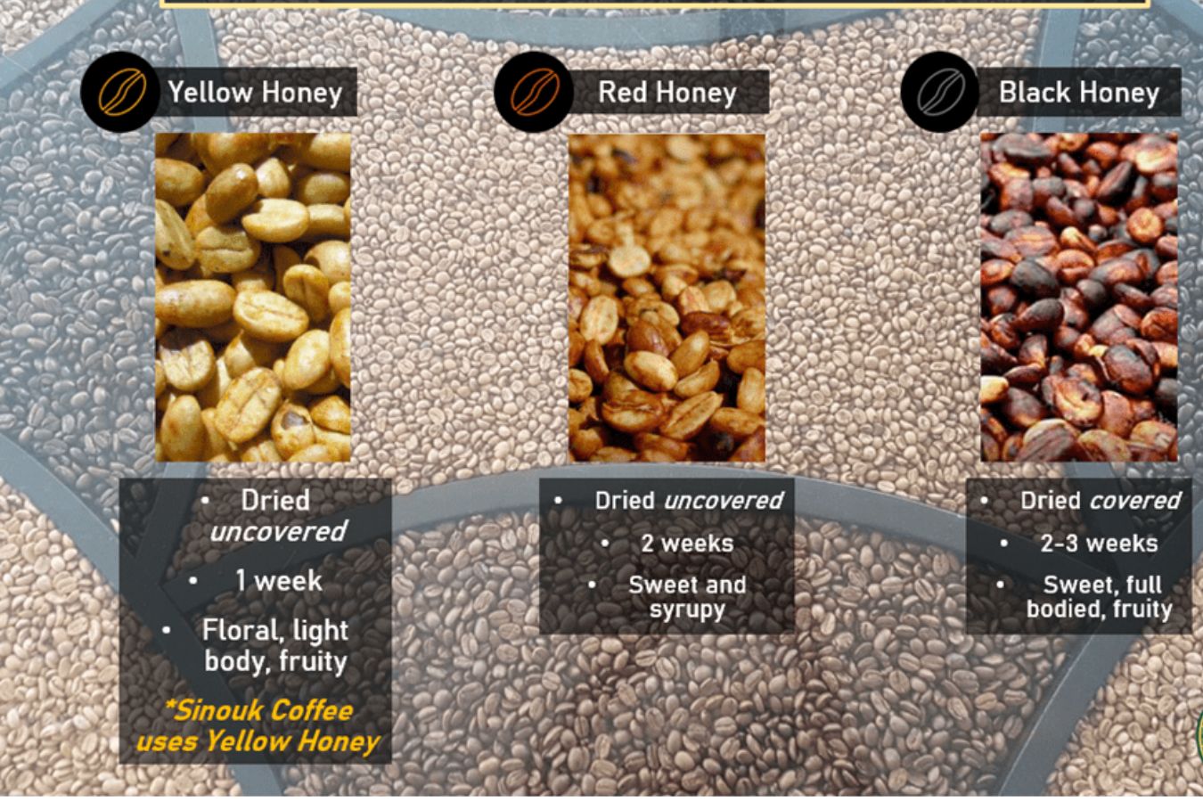 Yellow, Red, Black Honey Processed Coffees What’s the Difference